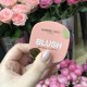 Авторский букет «Счастье » из диантусов, гортензии, эвкалипта и роз Bloom Room