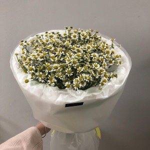 Букет ромашек