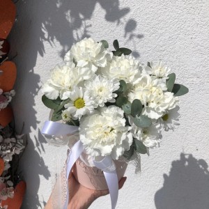 Стойкая коробочка диантусов Bloom room
