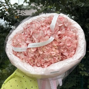 Букет нежных гортензий  Bloom Room
