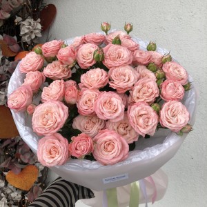 Пион. Роза кустовая Bloom Room
