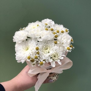 Цветы в стаканчике ромашки Bloom Room
