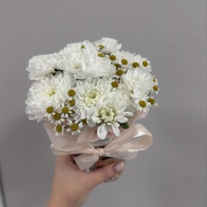 Пушистый стаканчик-комплимент Bloom room, хризантема и ромашка