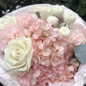 Воздушное облачко Bloom  Room
