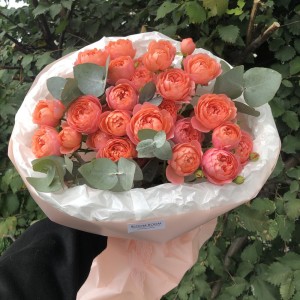 Оранжевое настроение Bloom Room
