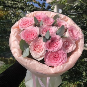 Прекрасные розы сорта Мандала Bloom Room