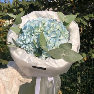 Букет комплимент гортензия Bloom Room