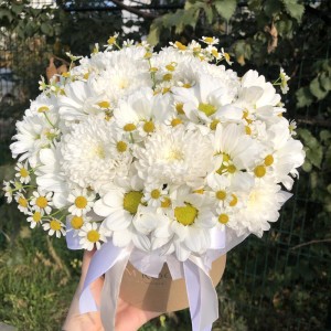 Букет в коробке ромашки и хризантема Bloom Room