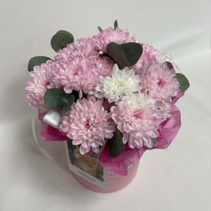 Розовая коробочка хризантем Bloom room
