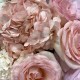 Букет  Bloom room  из гортензии, диантусов, хризантем и роз