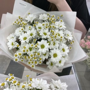 Букет ромашек BLOOM ROOM