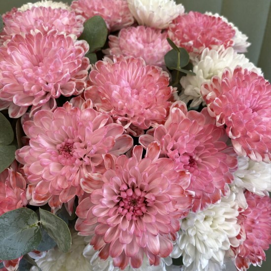 Яркая коробка с хризантемой BLOOM ROOM