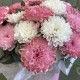 Яркая коробка с хризантемой BLOOM ROOM