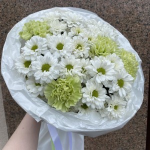 Свежий салатовый букет ромашек BLOOM ROOM