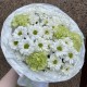 Свежий салатовый букет ромашек BLOOM ROOM
