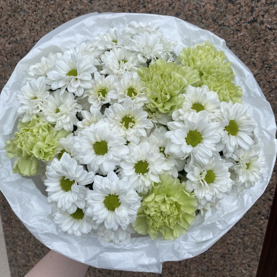Свежий салатовый букет ромашек BLOOM ROOM