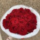️‍  Чувственный букет красных роз BLOOM ROOM
