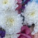 Круглый дофаминовый букет BLOOM ROOM