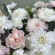 Нежная композиция Bloom Room