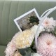 Нежная композиция с хризантемой  Bloom Room