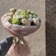 Летний букет от Bloom Room