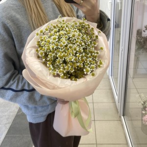 Букет ромашек