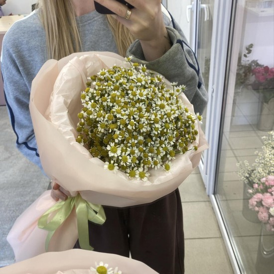 Букет ромашек