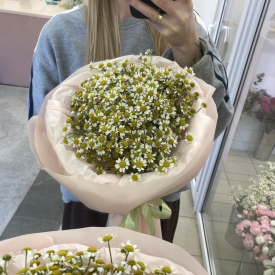 Букет ромашек