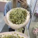 Букет ромашек