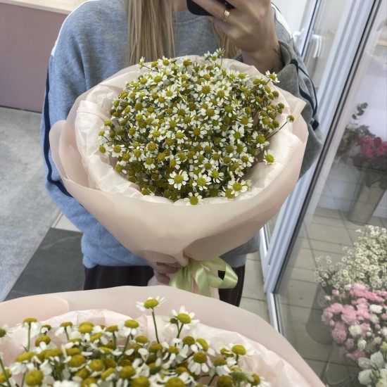 Букет ромашек