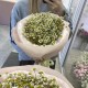 Букет ромашек