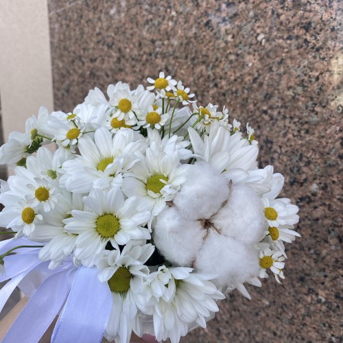 Белый комплимент  bloom room хризантема ромашка
