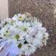 Белый комплимент  bloom room хризантема ромашка