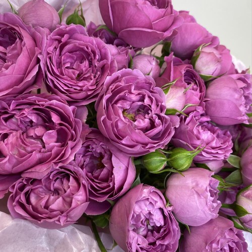 Яркий букет  bloom room Роза