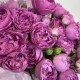 Яркий букет  bloom room Роза