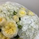 Воздушный букет Bloom room️гортензия Роза