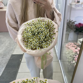 Букет-комплимент с ромашкой Bloom Room