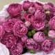 Букет с кустовой пионовидной розой Bloom Room