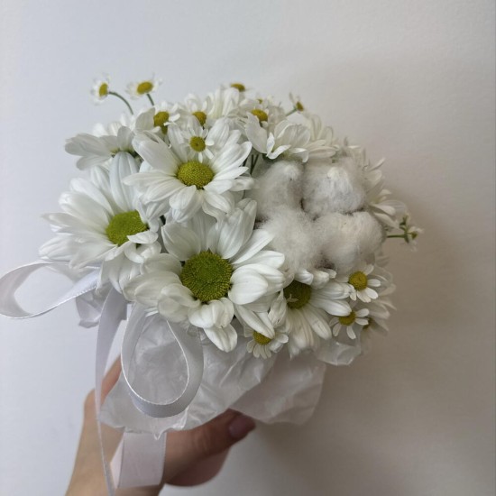 комплимент из ромашек  bloom room