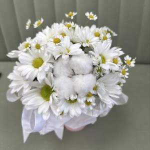 милый комплимент  bloom room