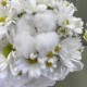 милый комплимент  bloom room