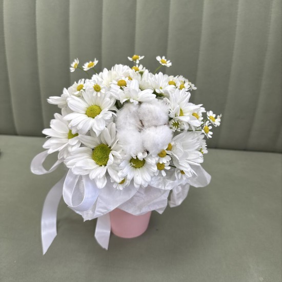 милый комплимент  bloom room