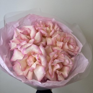 розовое облако  bloom room