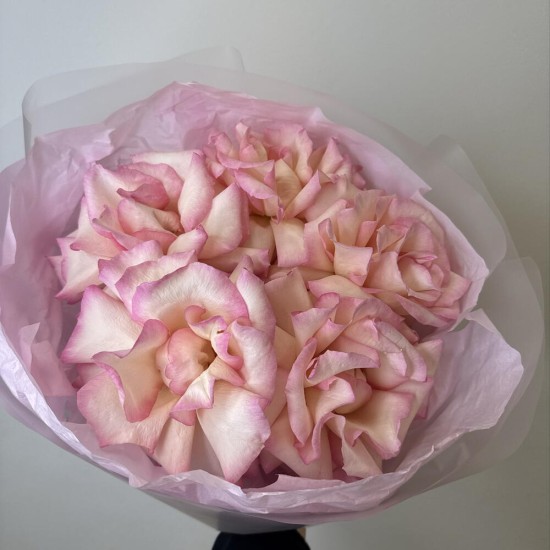 розовое облако  bloom room