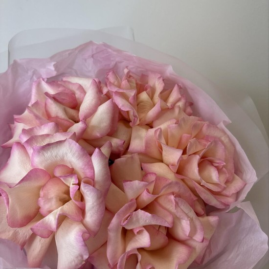 розовое облако  bloom room