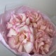 розовое облако  bloom room