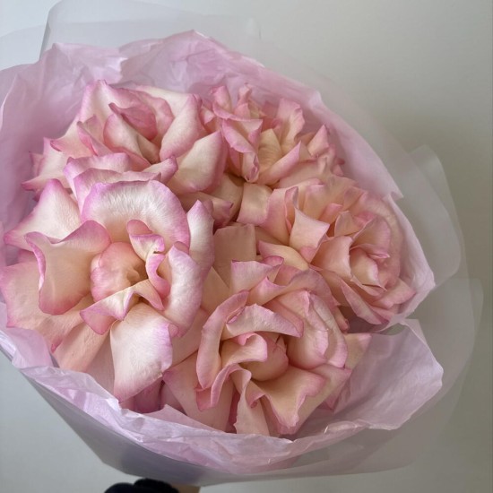 розовое облако  bloom room