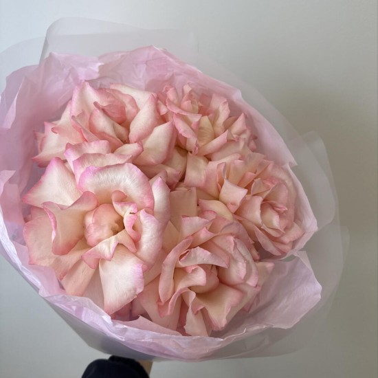 розовое облако  bloom room