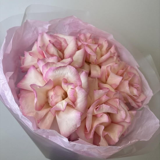 розовое облако  bloom room