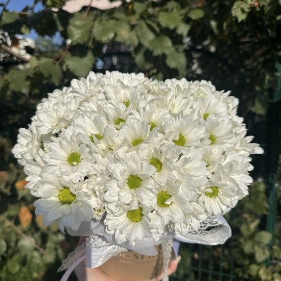 коробочка из ромашек